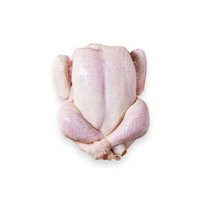 گوشت مرغ
