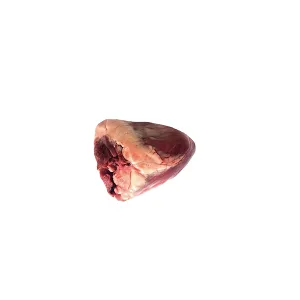 دل شتر
